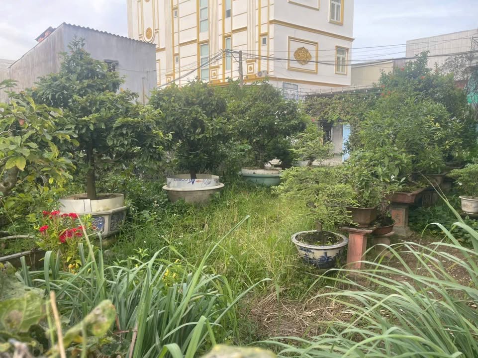 Đất nền Hẻm 22 Lê Lợi, Quảng Ngãi 89m² - Giá chỉ 1.6 tỷ - Đầu tư sinh lời ngay!