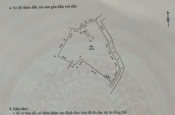 Đất nền thôn Đa Hội, xã Trung Giã 2900m² - Đầu tư sinh lời ngay!
