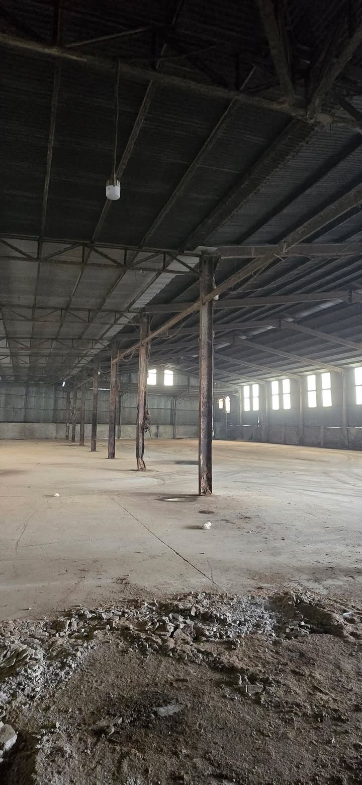 Kho xưởng cho thuê tại phường Tân Hòa, Biên Hòa 1700m² - Giá chỉ 40 triệu/tháng!