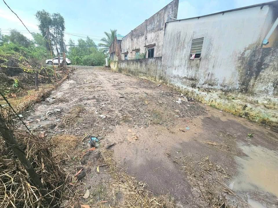 Đất nền Hựu Thạnh, Đức Hòa 156m² giá 1.45 tỷ - Đường container, dân cư đông đúc!