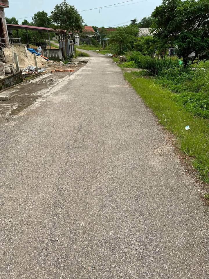 Đất nền mặt tiền Tân Phước, Hải Lâm, 546m² giá chỉ 350 triệu - Đầu tư sinh lời ngay!