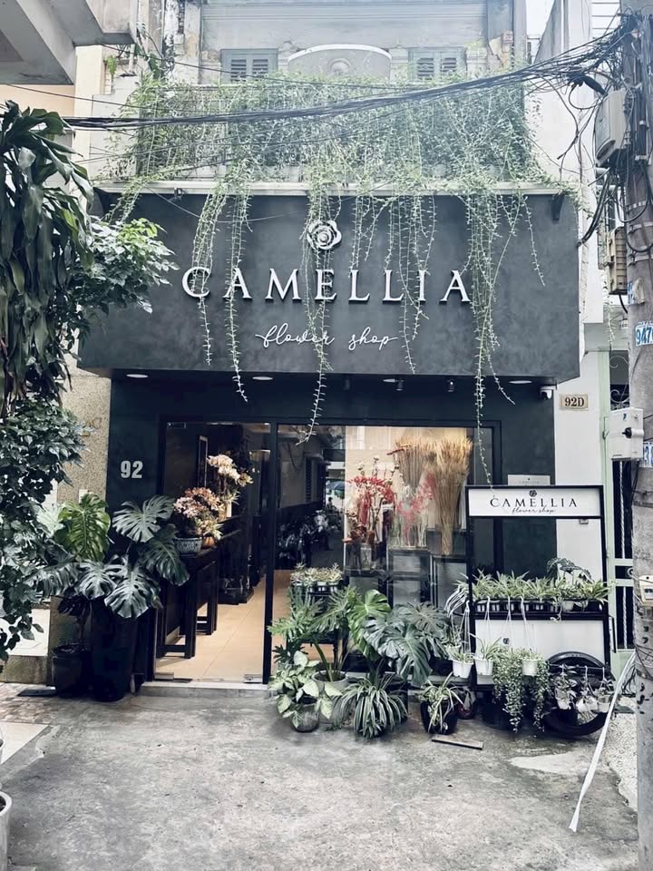 Nhà Bùi Thị Xuân, Quận 1, Diện tích 73m², Giá 28 tỷ - Cơ hội đầu tư hiếm có!