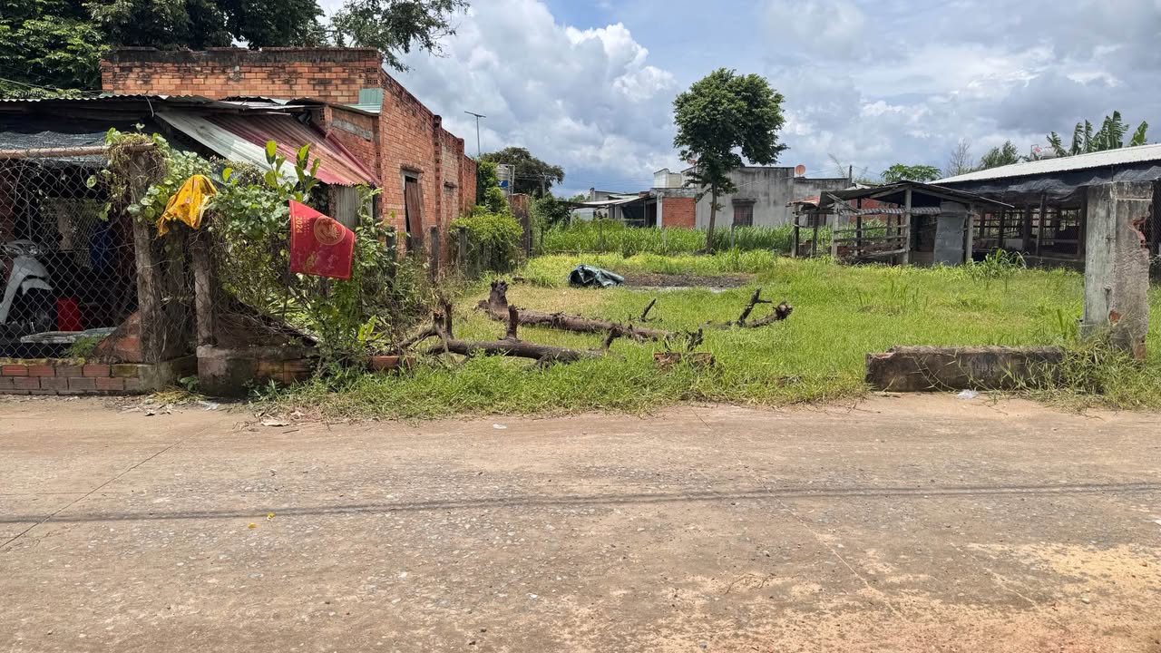 Đất mặt tiền đường bê tông 4m tại xã Lợi Thuận, Bến Cầu - Chỉ 560 triệu