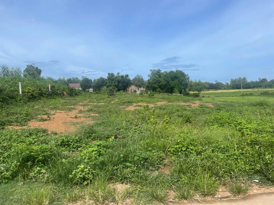 Đất Cát Tân Phù Cát 150m² giá chỉ 200 triệu - Sổ hồng công chứng ngay!