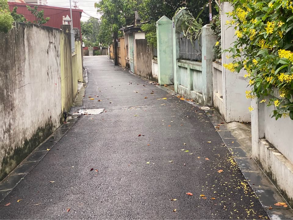 Đất nền Nam Hồng Đông Anh 300m² giá chỉ 300 triệu - Đường ô tô vào tận nhà!