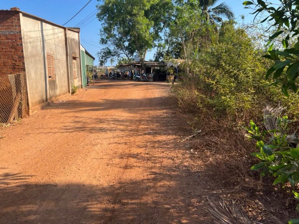 Đất thổ cư 1336m² tại Tân Thắng, Hàm Tân - Gần biển chỉ 1,5km!