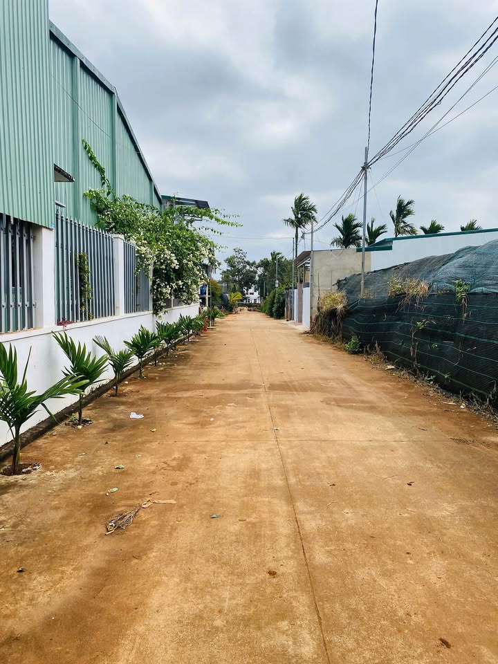 Đất nền hẻm 194 Hoà Thắng, Tân Lập 300m² giá 2.8 tỷ - Sổ đỏ chính chủ!