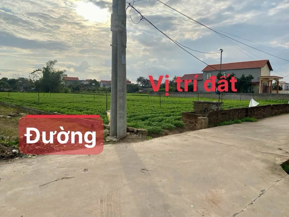 Đất thổ cư thôn Nhất Trai, Lương Tài, Bắc Ninh 78m² giá chỉ 1 tỷ - Cơ hội đầu tư hấp dẫn!