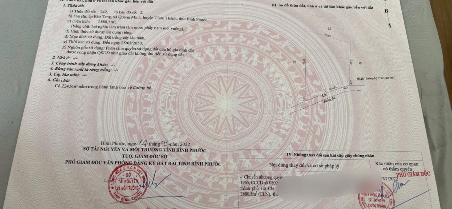 Đất Farm 3 sào Quang Minh Chơn Thành giá chỉ 600 triệu - Mặt tiền 40m, đầu tư sinh lời!