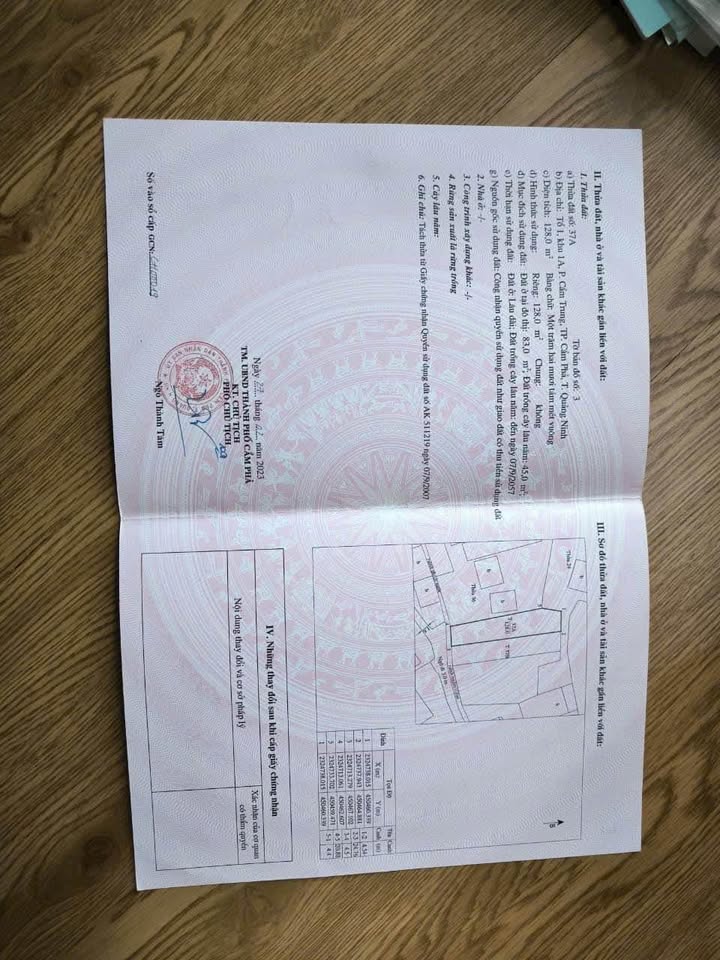 Đất nền chính chủ tại phường Cẩm Trung, Cẩm Phả - Diện tích từ 94m², giá chỉ từ 600 triệu!