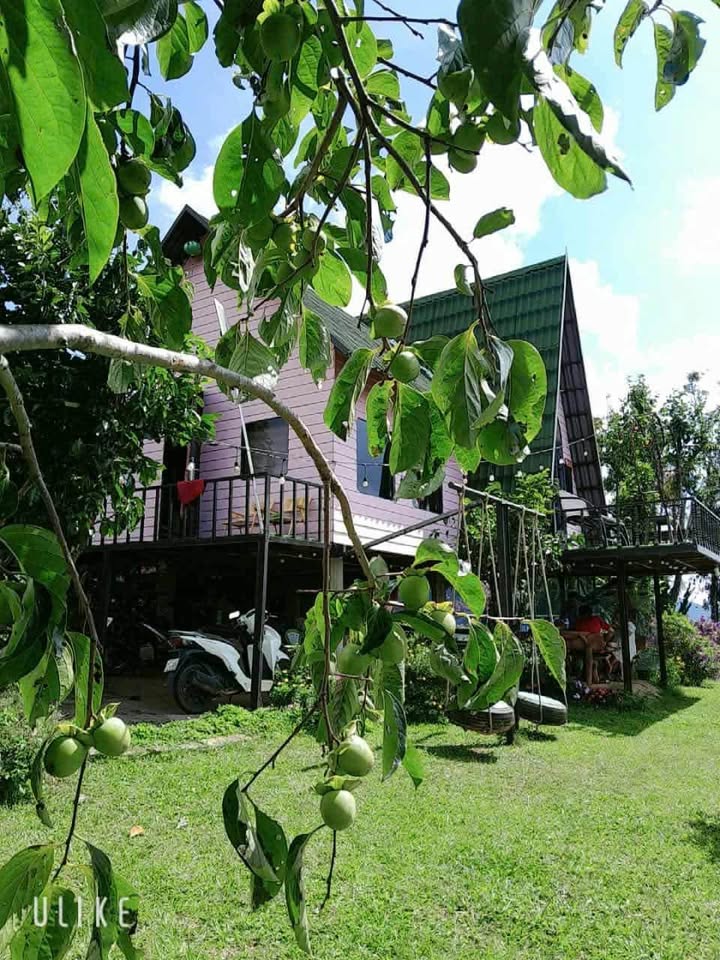 Căn hộ cho thuê Đạ Sar, Lạc Dương - Không gian yên tĩnh, giá chỉ từ 3 triệu/tháng!