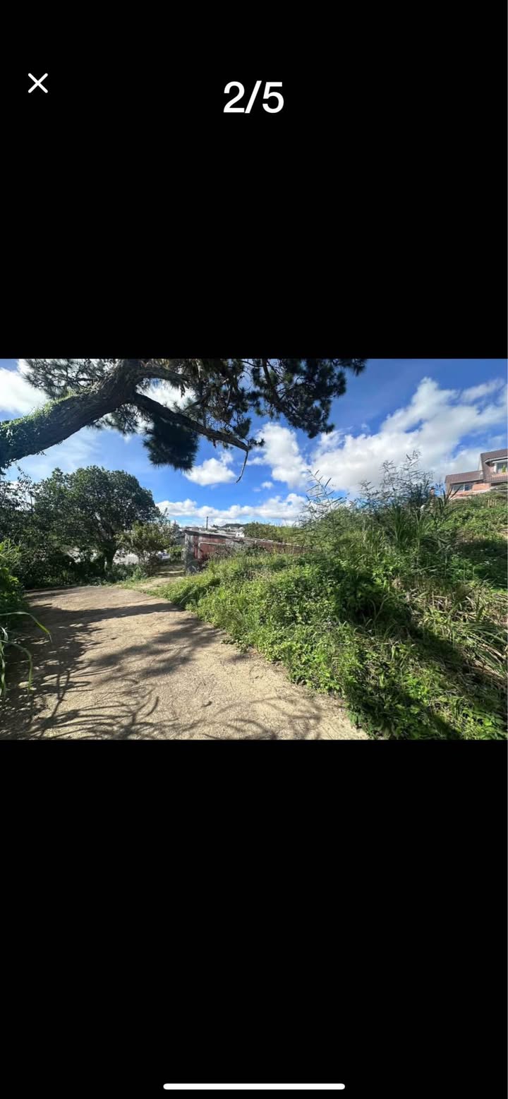 Đất nền Đồi Huy Hoàng Đà Lạt 1800m² giá 23 tỷ - Cơ hội đầu tư lý tưởng!