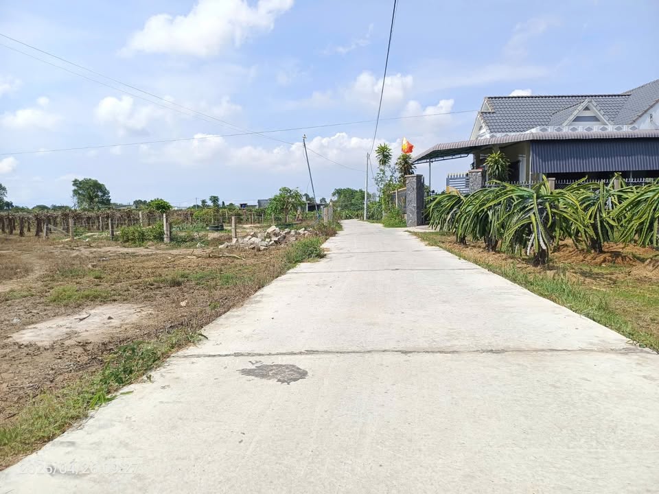 Bán Lô Đất Cây Trồng 2931m² Thôn Hội Nhơn - Giá 600 triệu - Pháp lý Rõ Ràng!