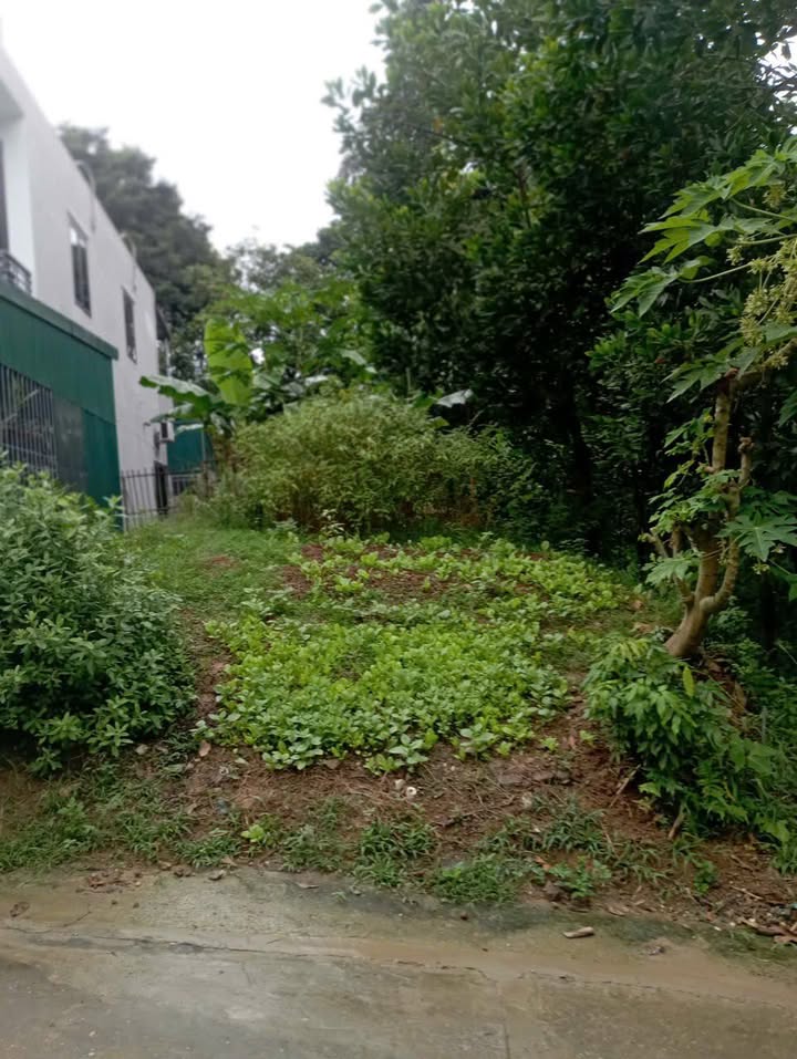 Đất thổ cư TDP Tràng Đà 2, phường Nông Tiến, 150m² - Cơ hội đầu tư hấp dẫn!