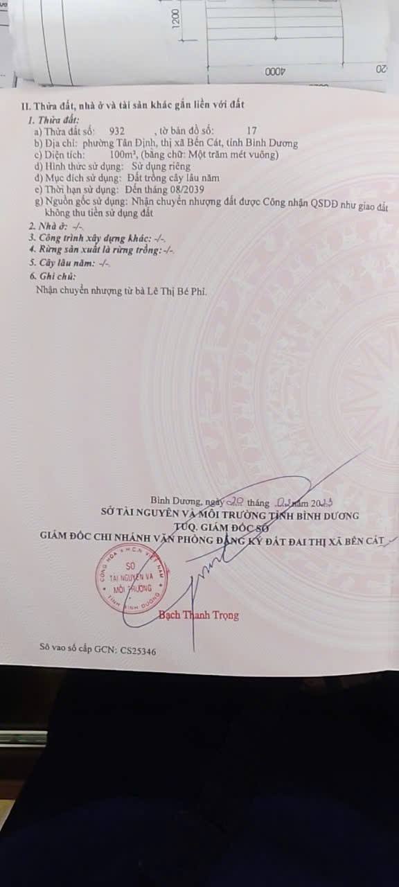 Đất nền Tân Định, Bến Cát 100m² giá 650 triệu - Cơ hội đầu tư hấp dẫn!