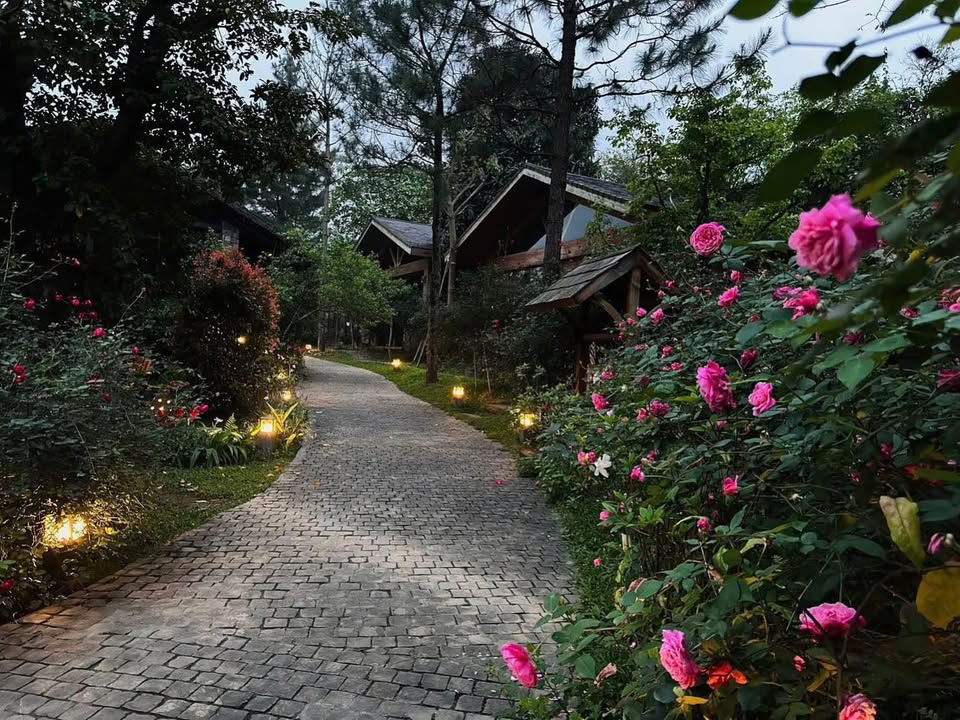 Nhà cho thuê Phường 10 Đà Lạt 500m² giá 30 triệu - Sân vườn rộng rãi, nội thất đầy đủ!