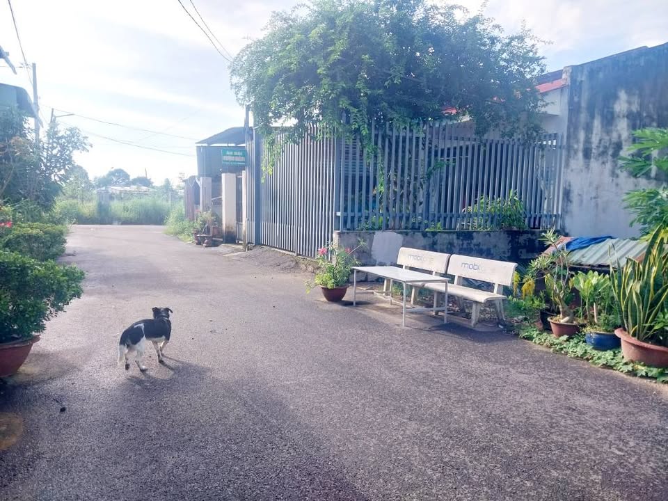 Đất nền Phường Long Tâm, TP. Bà Rịa 88.5m² giá 1.65 tỷ - Cơ hội đầu tư hấp dẫn!