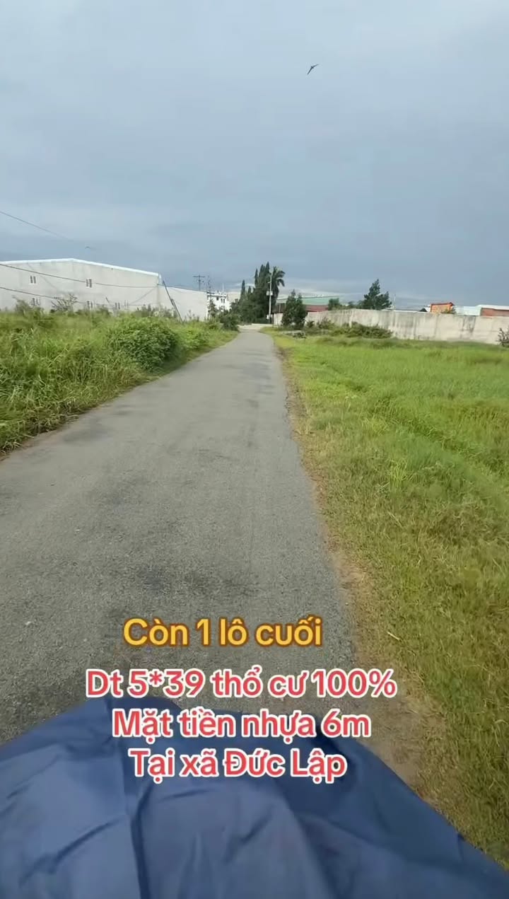 Đất nền Đức Lập 195m² giá 1.25 tỷ - Đầu tư sinh lời ngay!