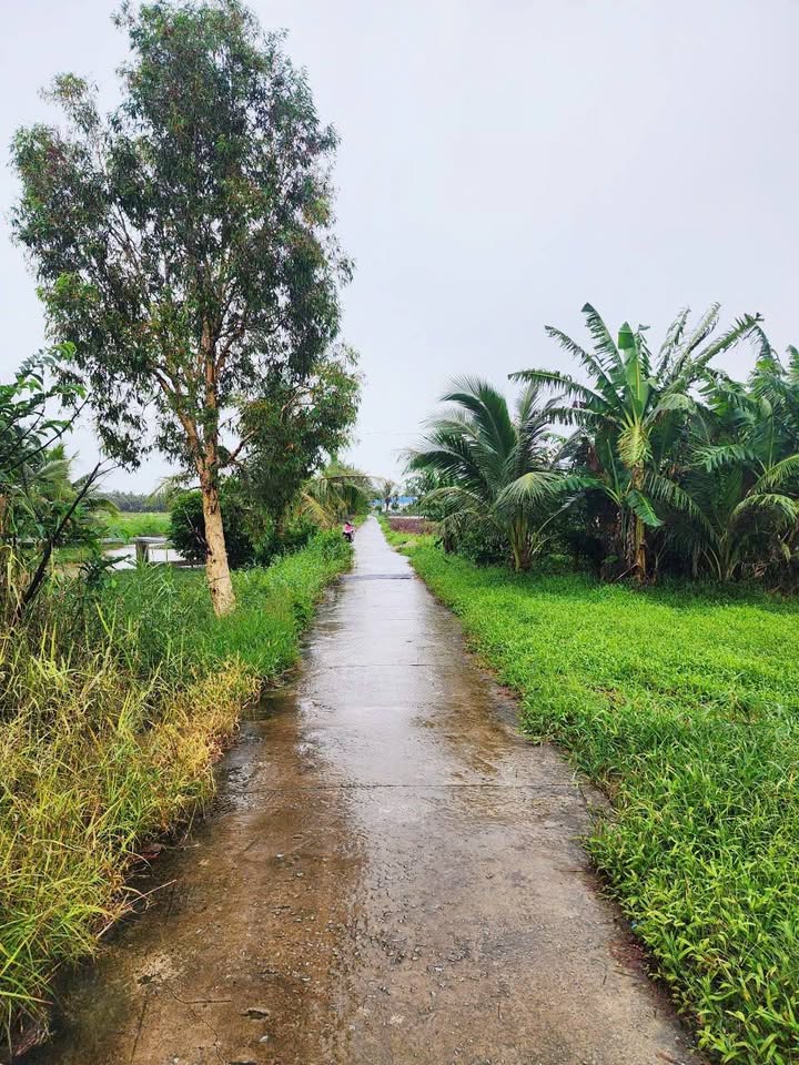 Đất nền thổ cư An Xuyên, Cà Mau 52.5m² chỉ từ 2xx triệu - Đầu tư sinh lời ngay!