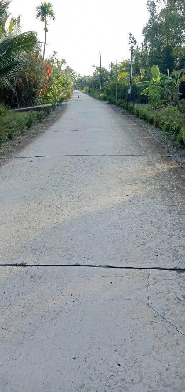 Bán đất trồng khóm 14.000m² tại Vĩnh Viễn, Long Mỹ - Giá chỉ 2.73 tỷ VND!