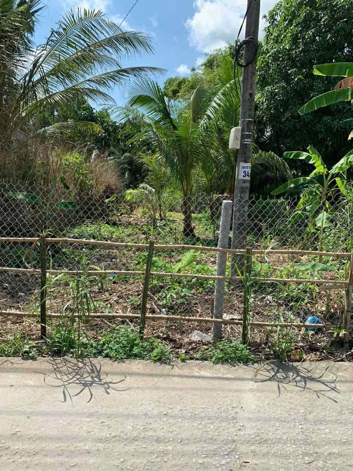 Đất trồng cây lâu năm 235m² xã Thới Thạnh - Giá 630 triệu, thương lượng nhẹ!