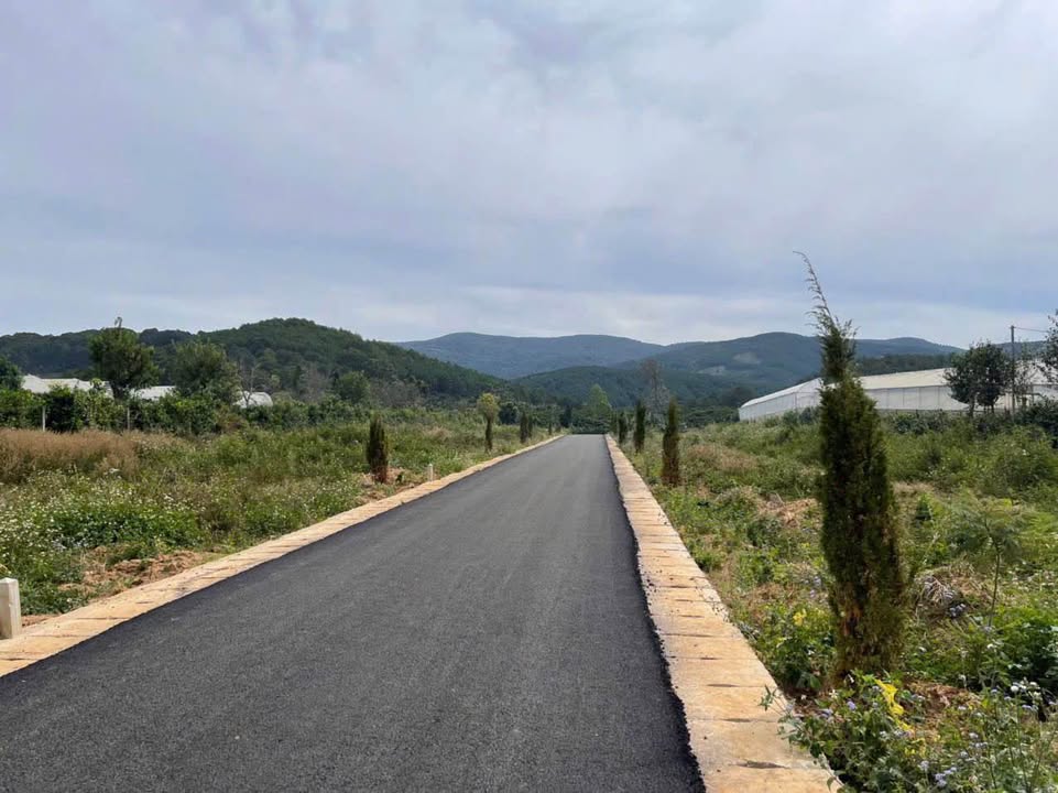 Đất nền Tà Nung Đà Lạt 200m² giá 2.8 tỷ - Đầu tư sinh lời ngay!