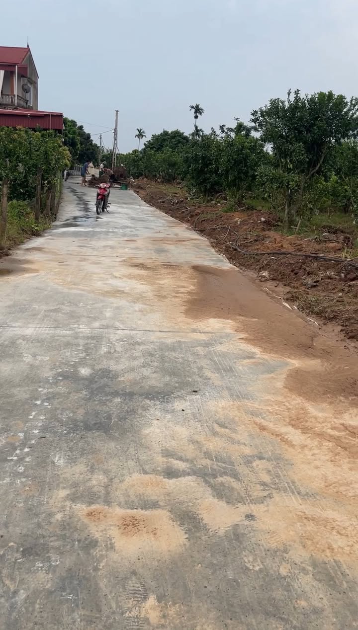 Đất nền Nghĩa Hồ, Chũ 556m² giá 900 triệu - Mặt tiền rộng, vị trí đắc địa!