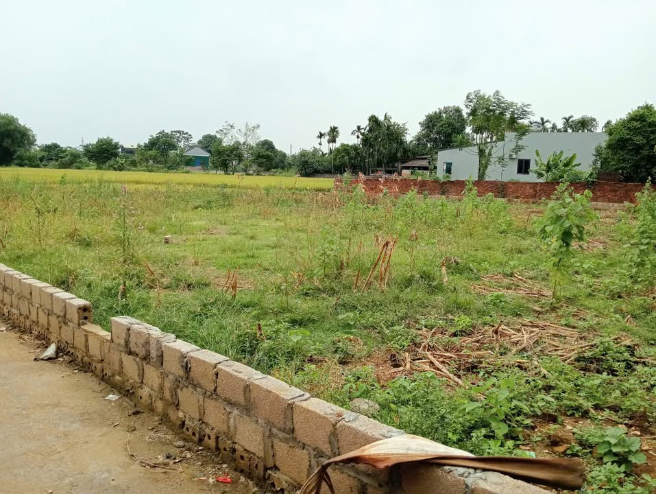 Đất ONT Thôn Vệ An, xã Cao Dương 1000m² giá chỉ 4 tỷ - Cơ hội đầu tư sinh lời!