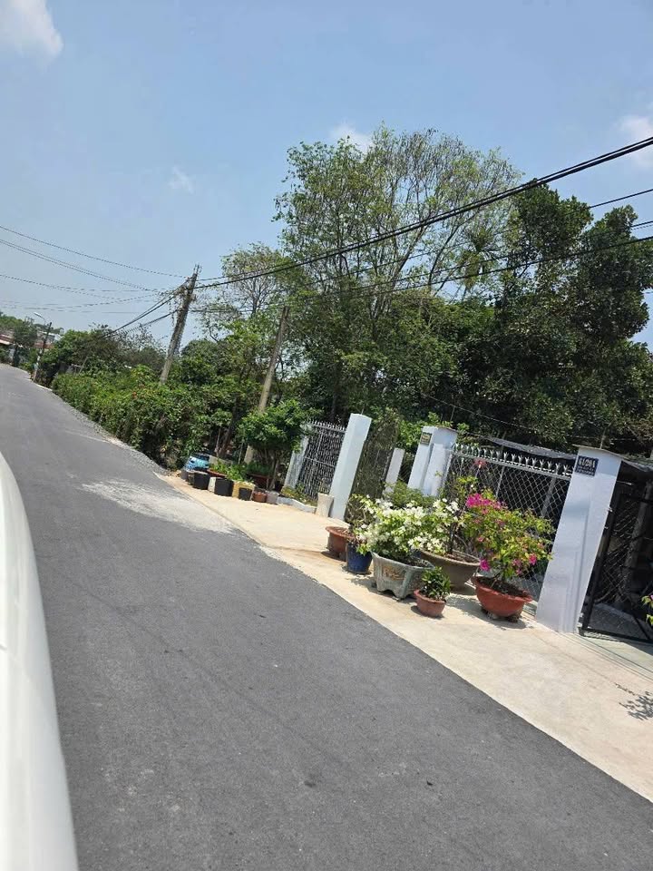 Đất mặt tiền Tỉnh lộ 8, Phước Vĩnh An, Củ Chi 288m² - Đầu tư sinh lời hấp dẫn!