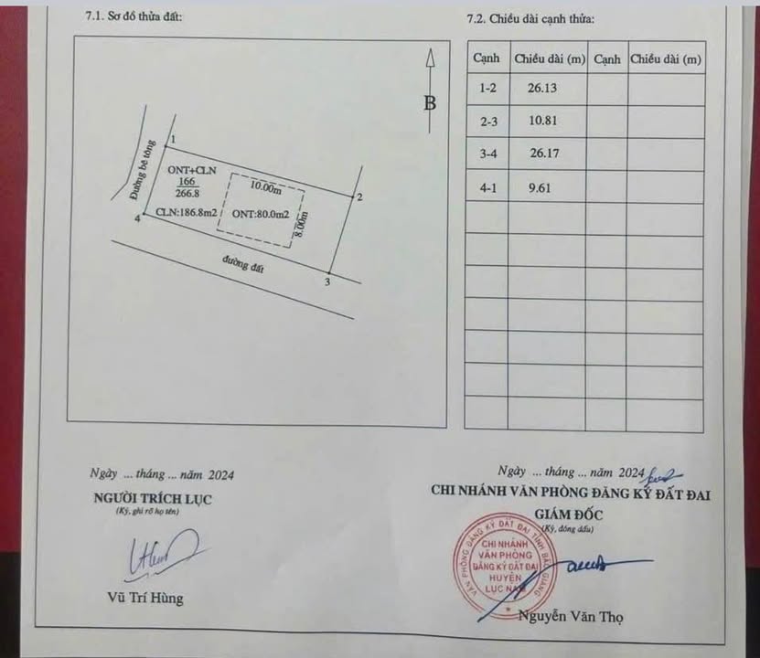 Đất nền Chu Điện Lục Nam 266m² giá 900 triệu - Sổ đỏ chính chủ, ô tô vào tận nơi!