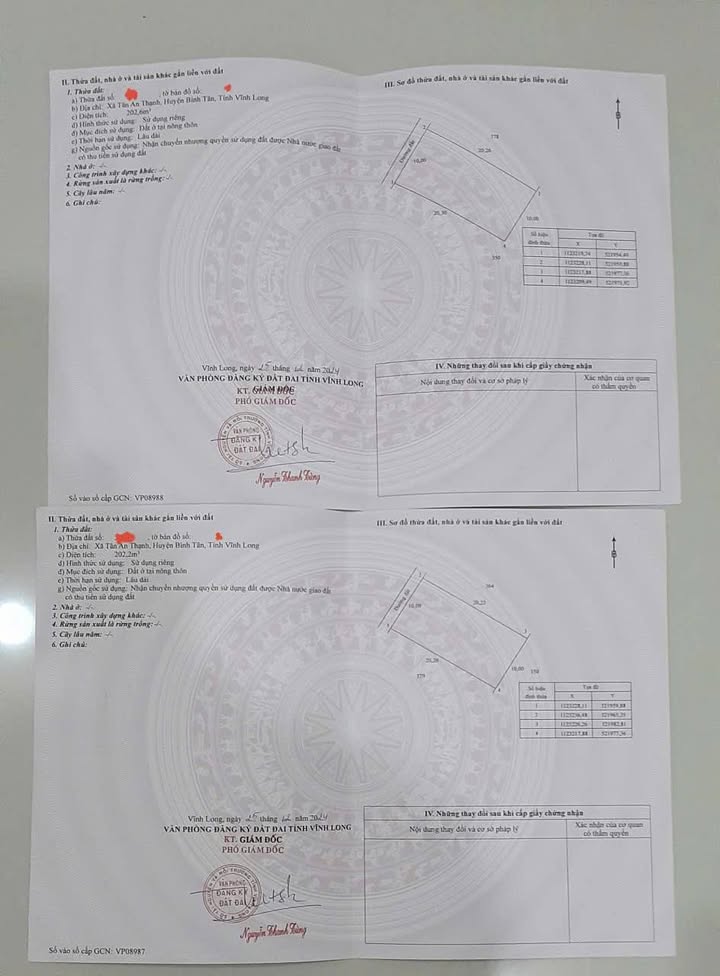 Đất nền 200m² tại Tân Lược, Bình Tân chỉ 300 triệu - Cơ hội đầu tư tuyệt vời!