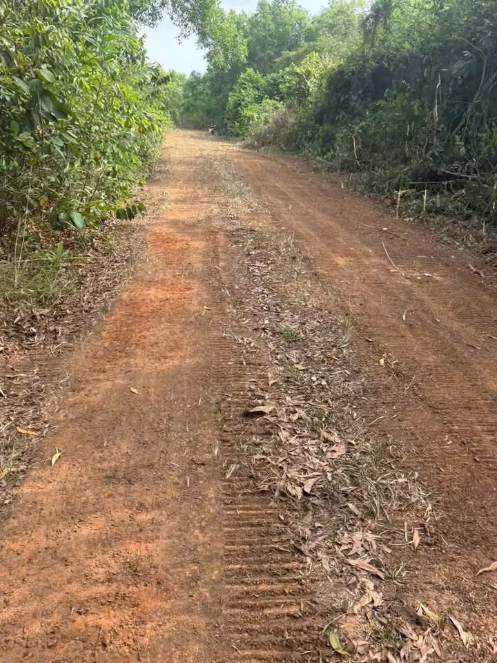 Đất nền Phước An, Long Thành 500m² giá 8xx triệu - Cơ hội đầu tư hấp dẫn!