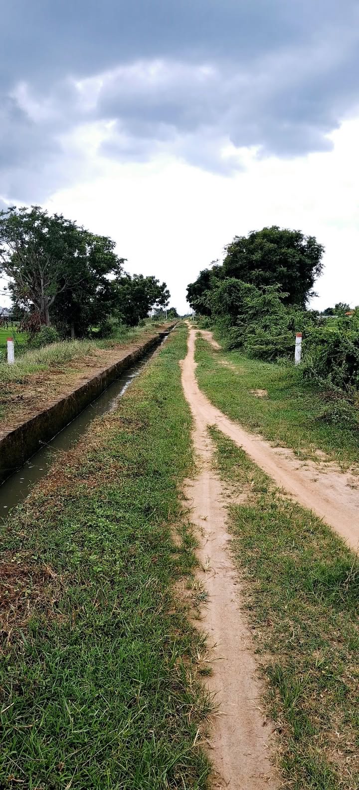 Đất lúa 2880m² tại Hàm Liêm, giá chỉ 560 triệu - Sổ đỏ chính chủ!