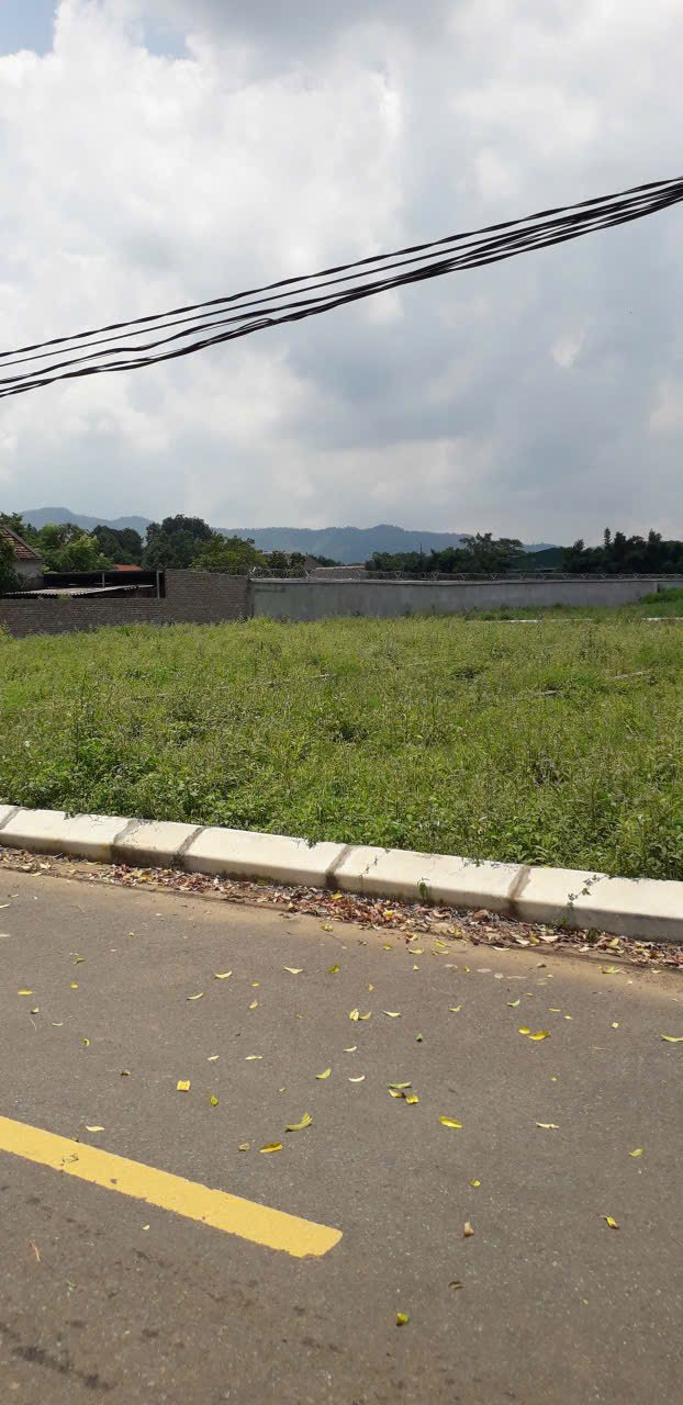 Đất nền xã Mỹ Tân, Thanh Hóa 97m² giá chỉ 300 triệu - Sổ đỏ chính chủ!