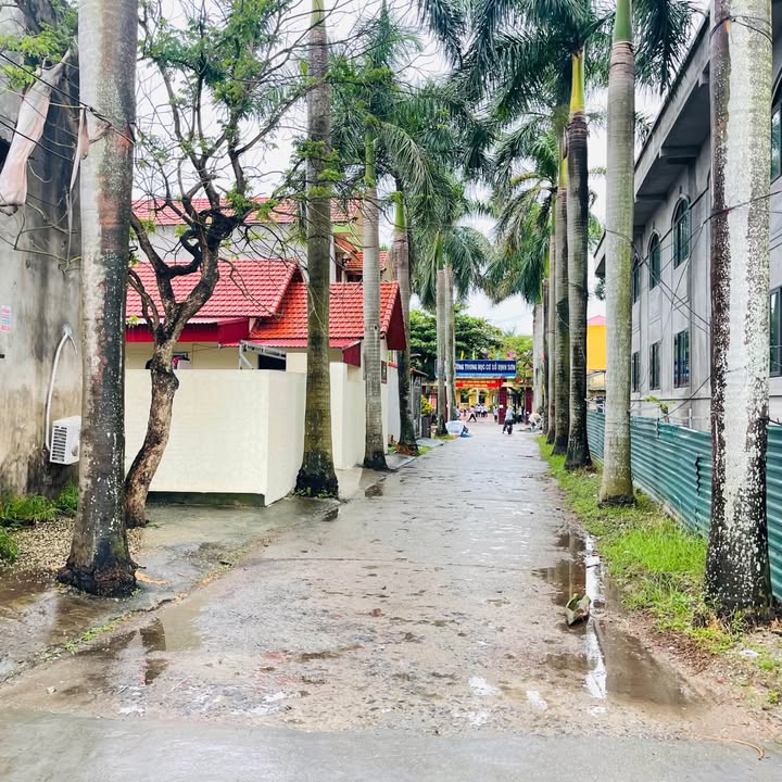 Đất nền Cẩm Định 90m² giá chỉ 1.xx tỷ - Sổ đỏ chính chủ, xây dựng tự do!