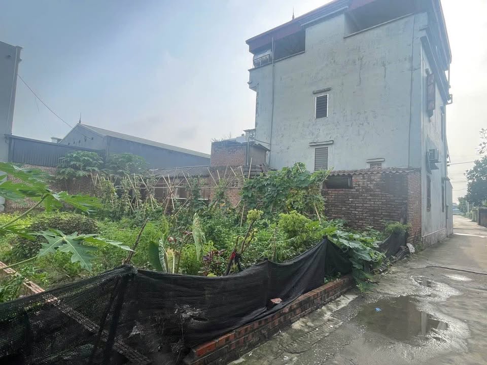 Đất nền Xuân Nộn Đông Anh 63m² giá thỏa thuận - Vị trí đẹp, đường thông