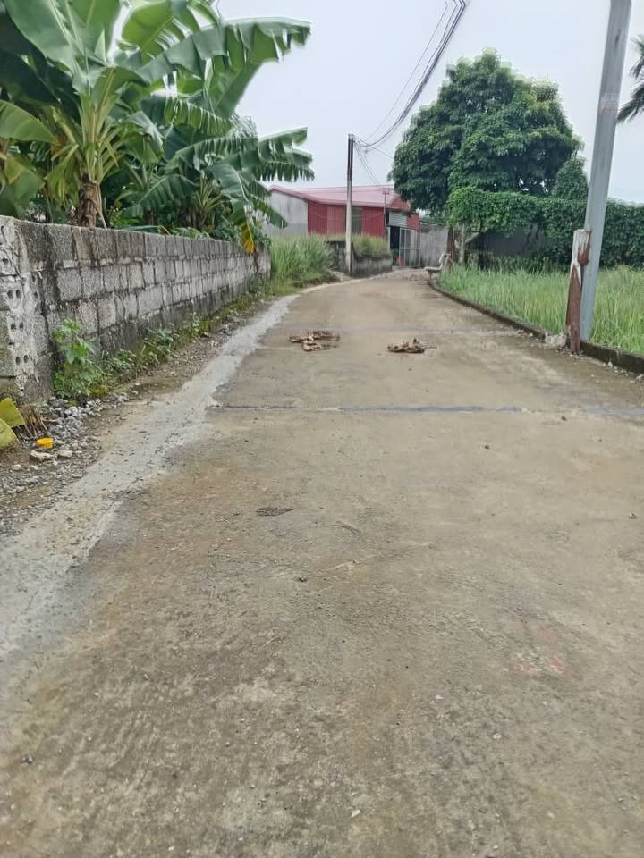 Đất Farm Hòa Thạch, Quốc Oai 460m² giá 3 tỷ - Tiềm năng đầu tư hấp dẫn!