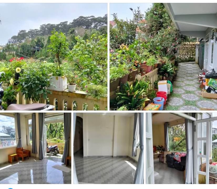 Cho thuê nhà nguyên căn Lê Hồng Phong Đà Lạt 2PN giá 6.5 triệu - View rừng thông tuyệt đẹp!