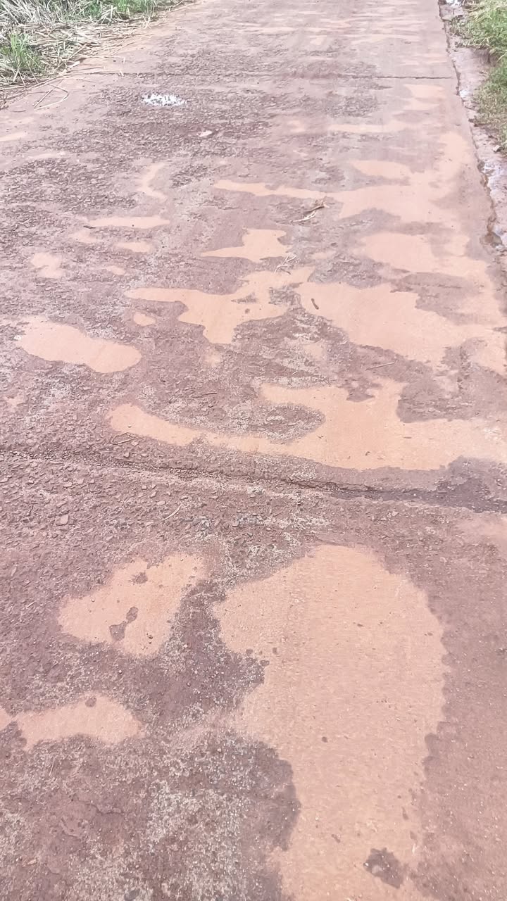 Đất thổ cư Trường Xuân 14,000m² giá 1.8 tỷ - Sổ đỏ chính chủ, mặt tiền rộng!