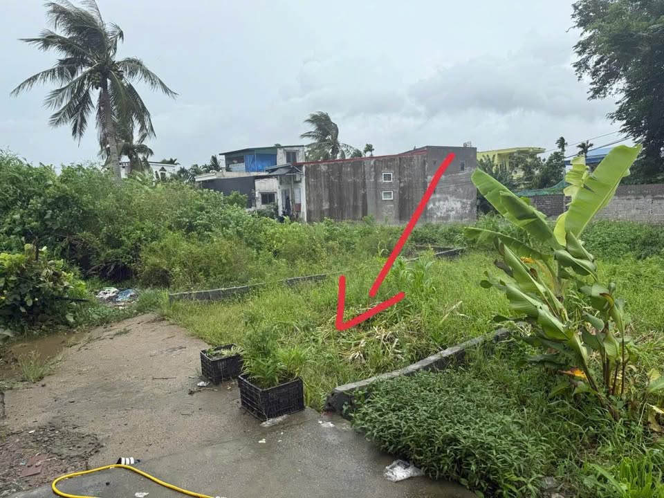 Lô đất 2 mặt ngõ Phù Liễn, Kiến An giá chỉ 800 triệu - Cơ hội đầu tư hấp dẫn!