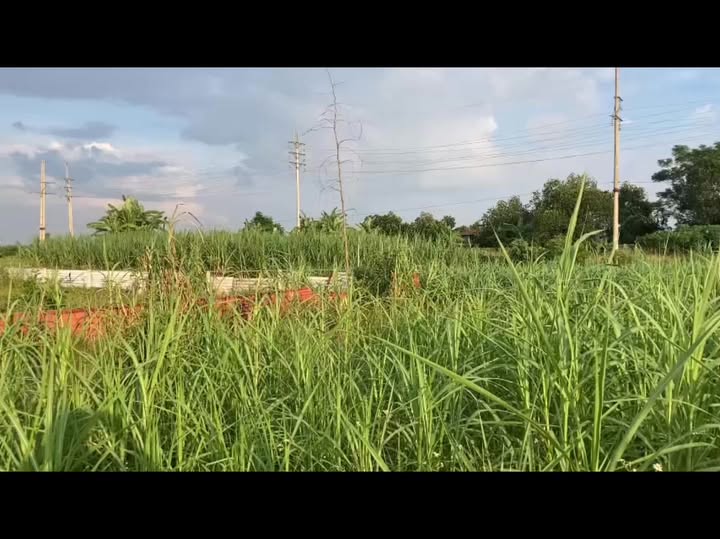 Đất vườn Thủ Trung, Sơn Tây 1062.5m² giá 600 triệu - Cơ hội đầu tư tốt!