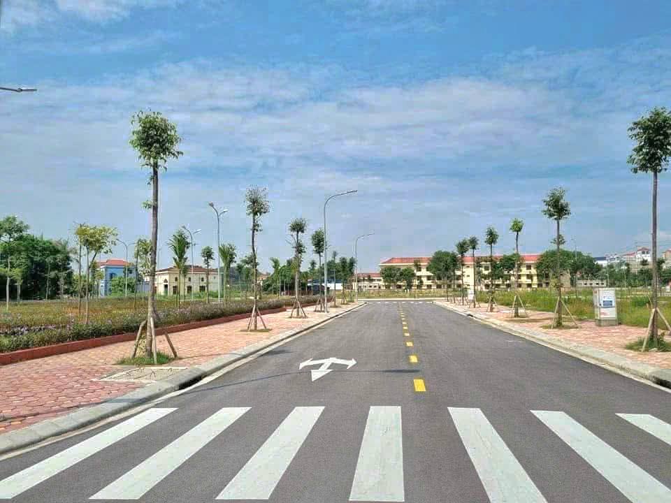 Đất nền dự án LIM Tiên Du 91m² giá 6 tỷ - Cơ hội đầu tư tuyệt vời!