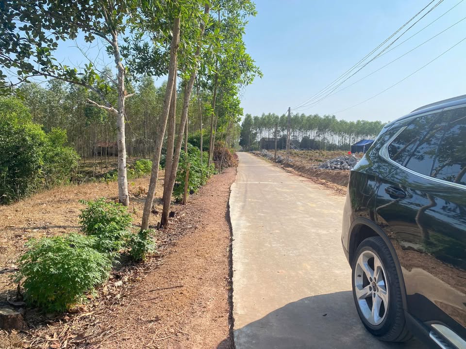 Đất thổ cư 3.500m² tại Đồng Tâm - Yên Thế, giá chỉ 1 tỷ - Cơ hội đầu tư hấp dẫn!