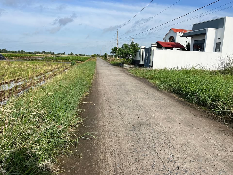 Đất nền Tân Điền 378m² giá 750 triệu - Sổ hồng riêng, gần biển!