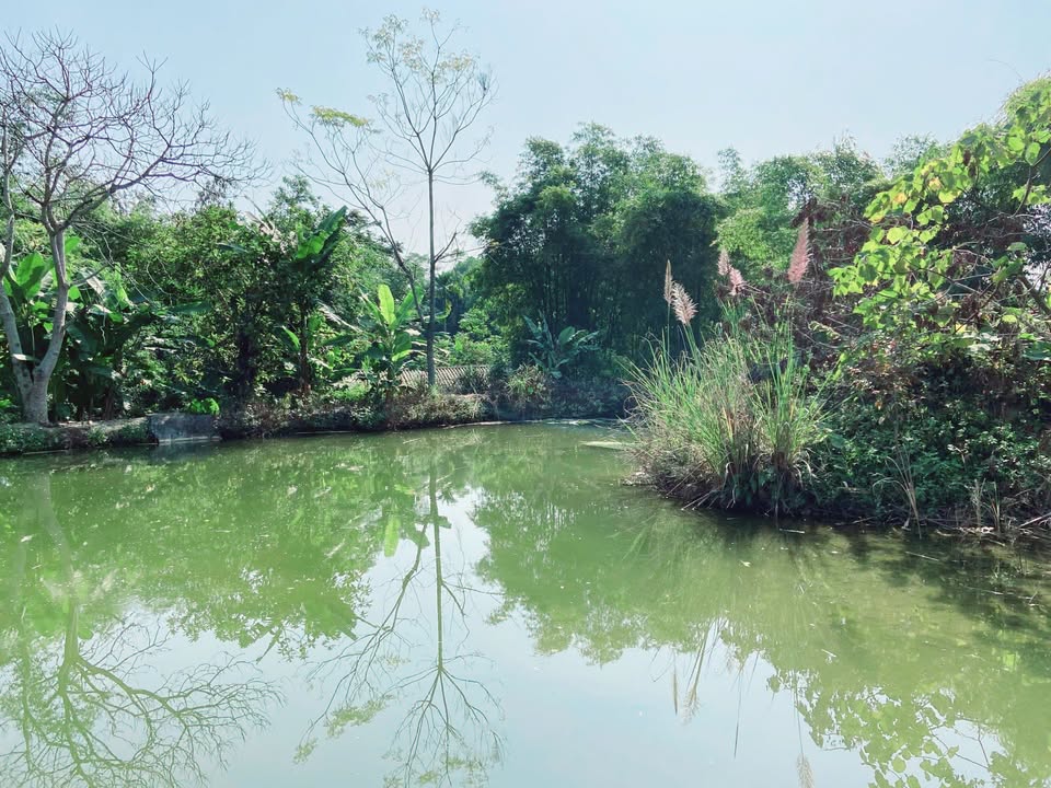 Lô đất Farm 4500m² tại xã Tú Lý, Đà Bắc - Giá thương lượng hấp dẫn!