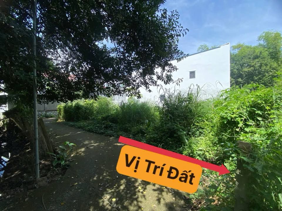 Đất Diên An, Diên Khánh 66.3m² giá 1.12 tỷ - Đầu tư sinh lời cao!