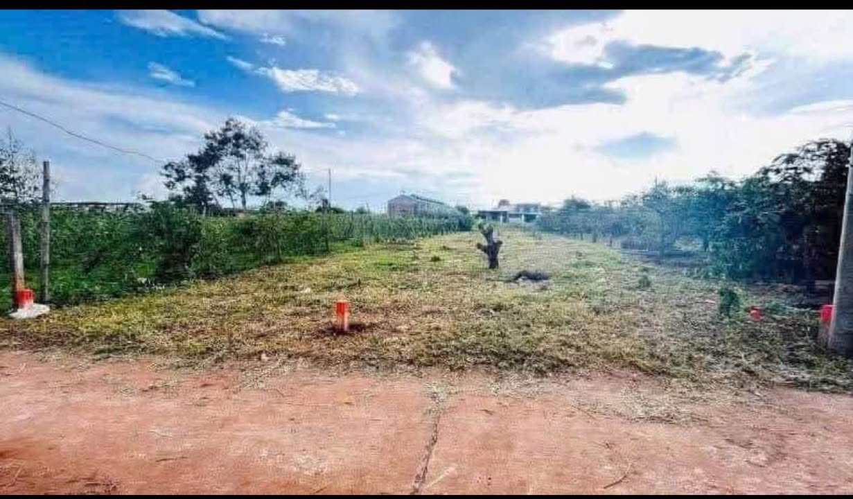 Đất hẻm 135 Ngô Quyền, Pleiku 294m² - Giá thỏa thuận, thích hợp cho đầu tư!