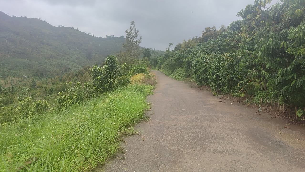 Đất nền Bảo Lộc 1063m² giá 1.2 tỷ - Mặt tiền đường nhựa, tiện ích đầy đủ!