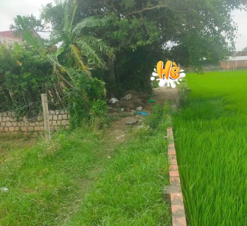 Đất thổ cư Phước Hòa Tuy Phước 1100m² giá 1 tỷ - Phù hợp làm nhà vườn lý tưởng!