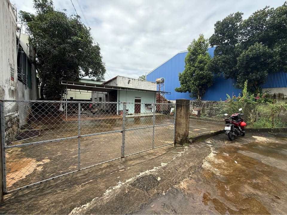 Đất nền Phạm Ngũ Lão, Cư Êbur 590m² giá 8 tỷ - Tiềm năng đầu tư lớn!